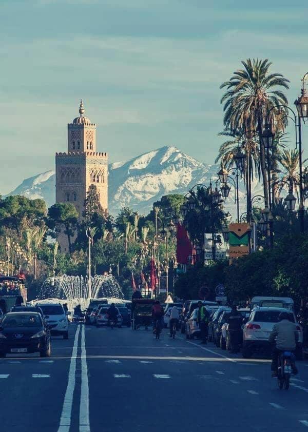 Authentic Moroccan Charm Apartment In Marrakech Terrace 马拉喀什 外观 照片