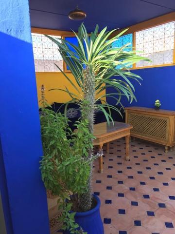 Authentic Moroccan Charm Apartment In Marrakech Terrace 马拉喀什 外观 照片