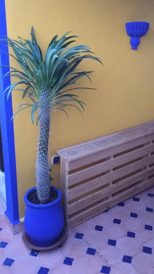 Authentic Moroccan Charm Apartment In Marrakech Terrace 马拉喀什 外观 照片